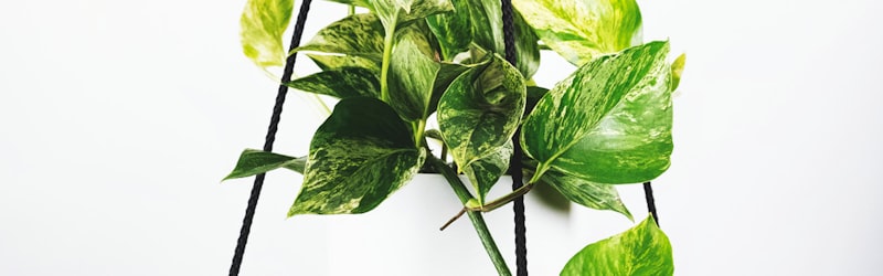 世界杯开幕式彩排现场 - 璀璨灯光与表演者排练